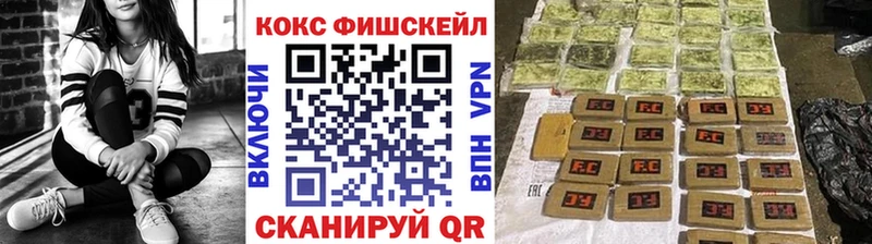 Купить закладки  Нижнеудинск  Cocaine Fish Scale 