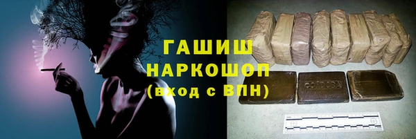 mdpv Бородино