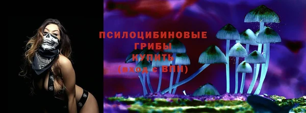 apvp Бронницы