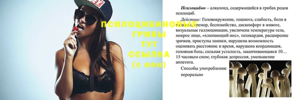 твердый Верхний Тагил