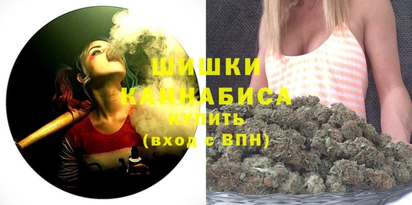 ПСИЛОЦИБИНОВЫЕ ГРИБЫ Верея