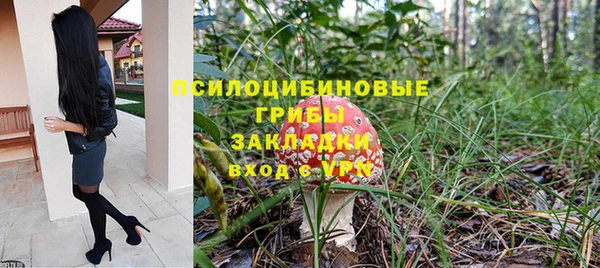 mdpv Бородино
