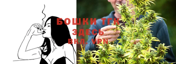 mdpv Бородино