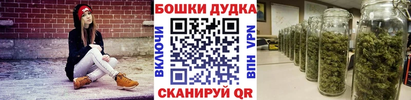 Купить закладки  Нижнеудинск  Бошки марихуана гибрид 